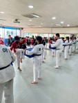 동아태권도