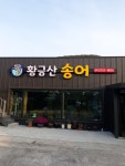 황금산송어