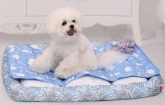 (주)이연이앤디 | 이연테크