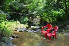 숲속다람쥐펜션