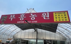 부흥농원