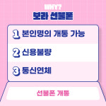 보라 선불폰