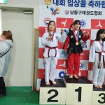 연세대 태풍태권도