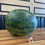 롤스커피 상창점