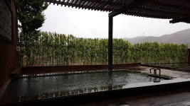 초정약수 세종스파텔