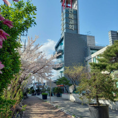 선목교회