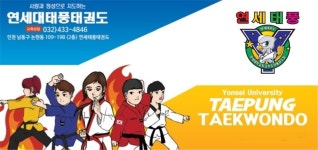 연세대 태풍태권도