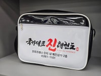 국가대표 진 태권도