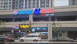 국가대표 진 태권도