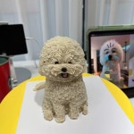 꼬리별펫케이크