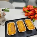 꼬리별펫케이크