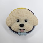 꼬리별펫케이크