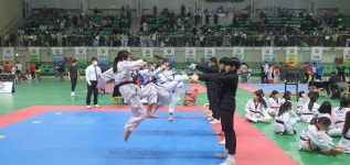 연세대 태풍태권도