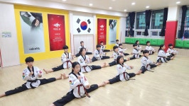 연세대 태풍태권도