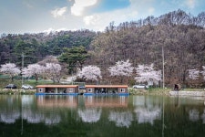 회암낚시터