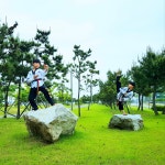 연세대 태풍태권도