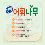 장원교육 서울강서
