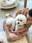 러블리댕