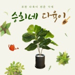 승희네다육이