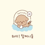하이 털찌니들
