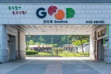 굿뜨래웰빙마을 글램핑