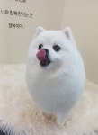 멍