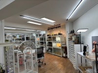 파충류샵 파파고