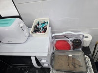 아리랑캐롬 클럽