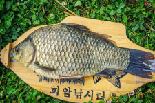 회암낚시터