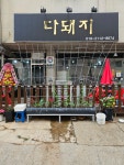 다돼지