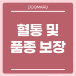 서울 강아지 분양 고양이 분양 도그마루
