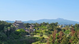 하원가흑돼지 중문본점