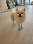 까미랑몽이