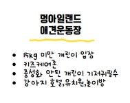 멍아일랜드/강아지유치원/호텔