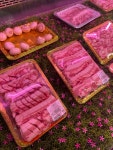 모든식육식당