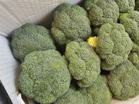 올잇마켓배곧점