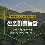 산촌마을농장