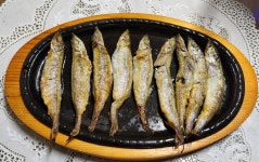 오로25원흥역점