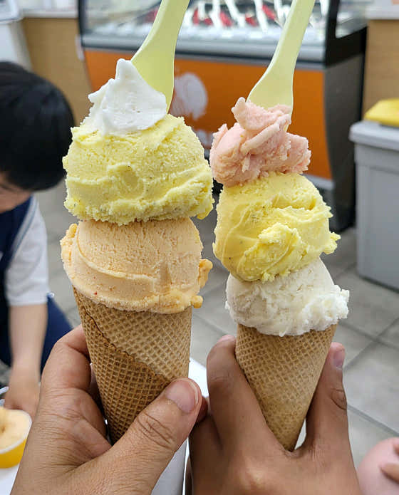 아로카 사진