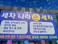 세차나라손세차장