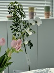 연향케이크