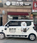 피츠펫