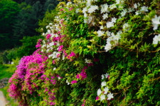 명지산계곡스테이