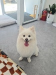 히히그루밍