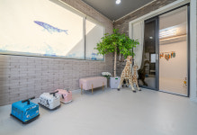 고래키즈풀빌라