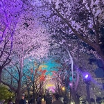 방촌산방
