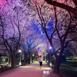 방촌산방