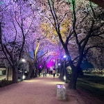 방촌산방