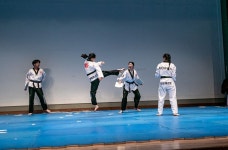 경희대도담태권도