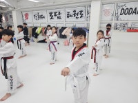 경희대도담태권도